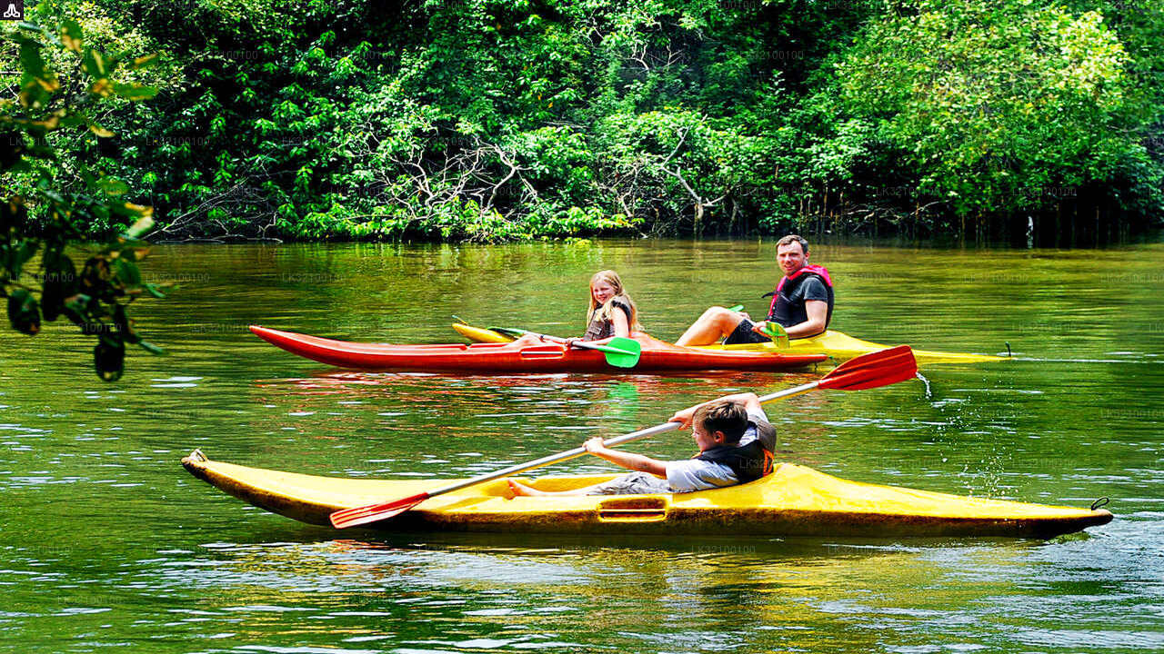 Kanufahren ab Kitulgala