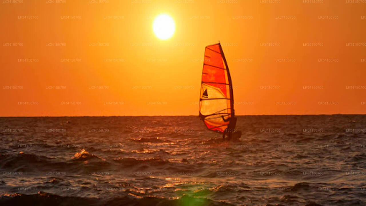 Privater 1-stündiger Windsurf-Anfängerkurs in Kalpitiya