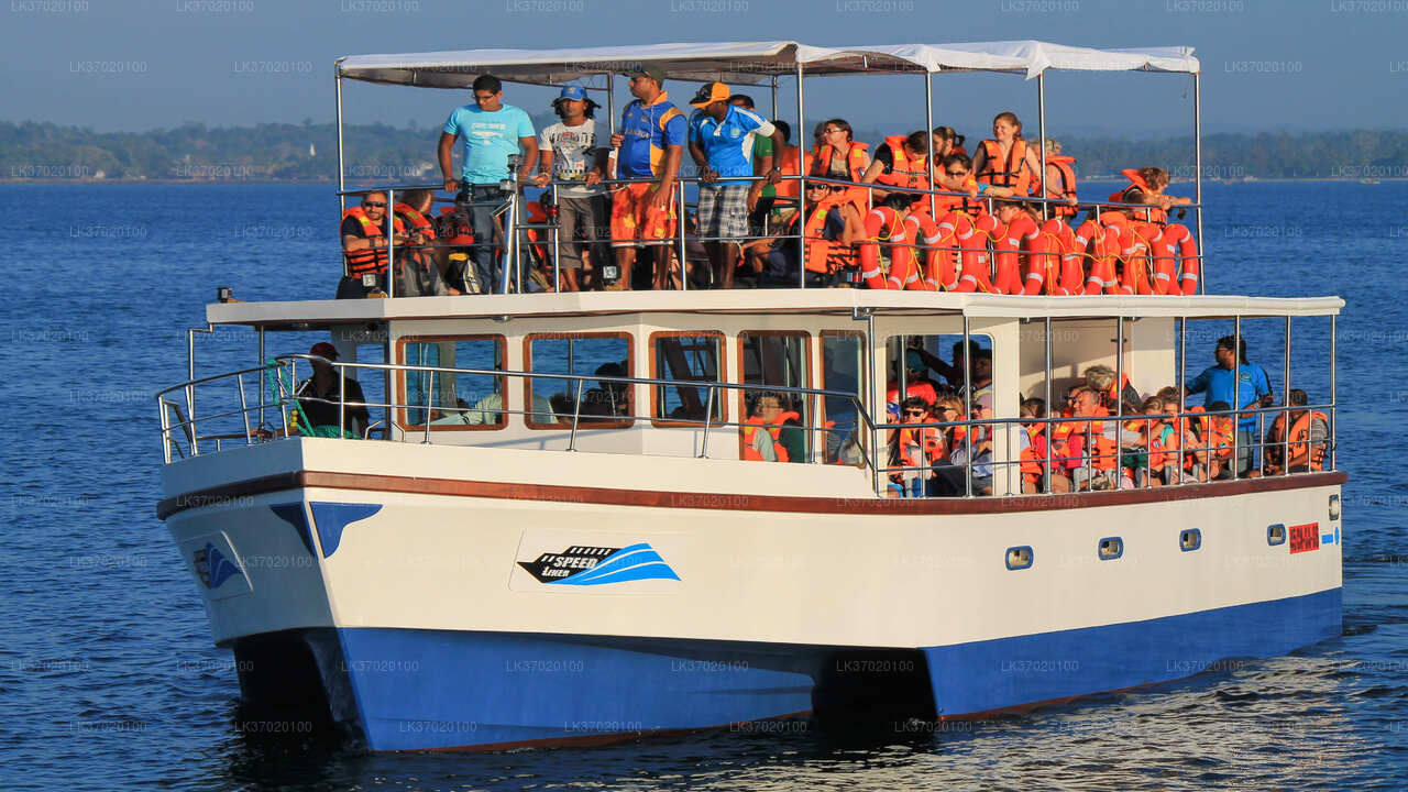 Bootstour zur Walbeobachtung ab Ahungalla