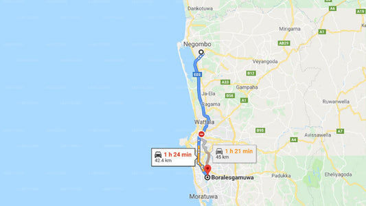 Privater Transfer vom Flughafen Colombo (CMB) nach Boralesgamuwa City