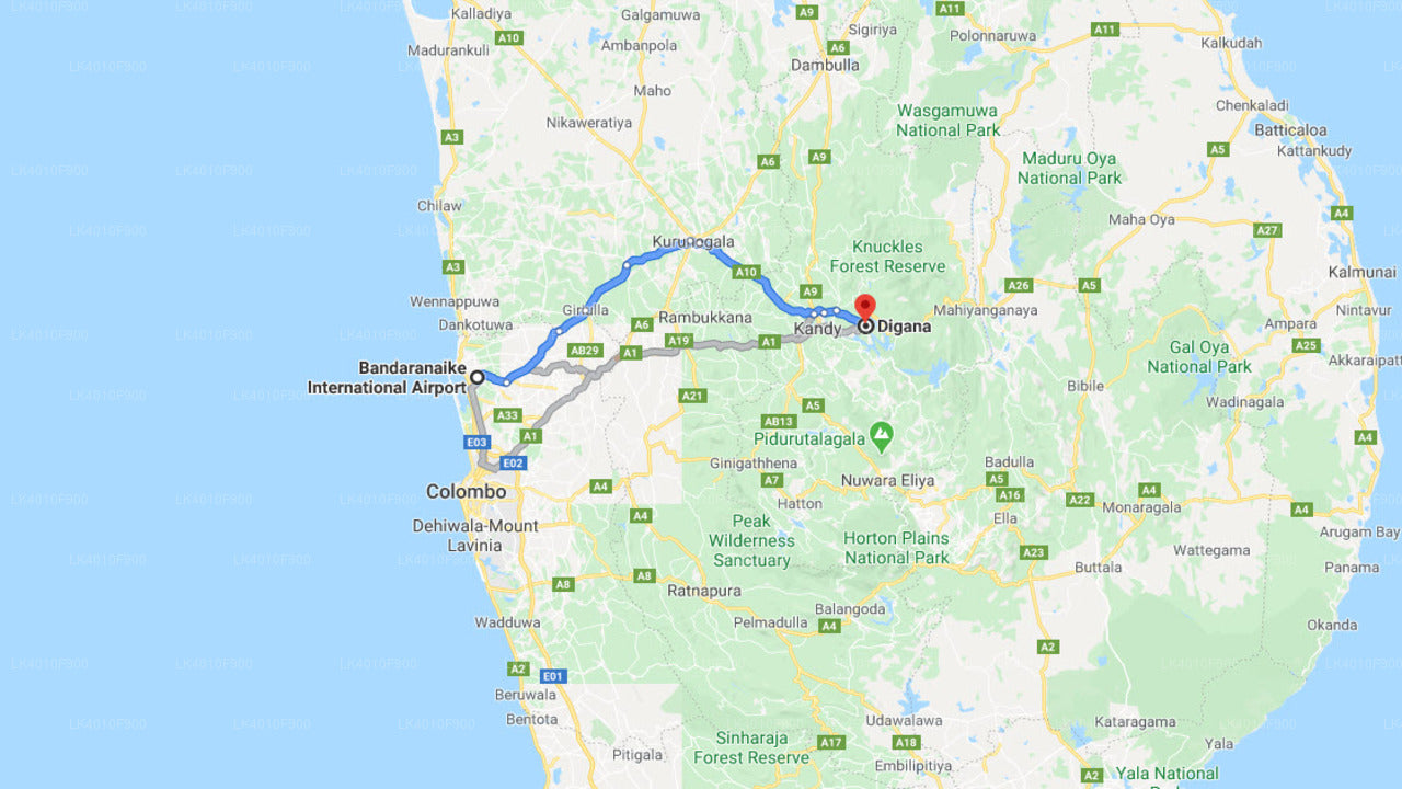 Privater Transfer vom Flughafen Colombo (CMB) nach Digana City