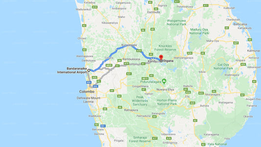 Privater Transfer vom Flughafen Colombo (CMB) nach Digana City