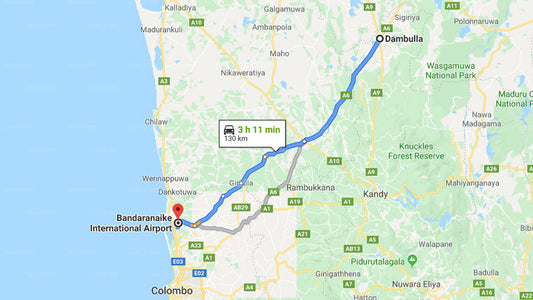 Privater Transfer von Dambulla City zum Flughafen Colombo (CMB).