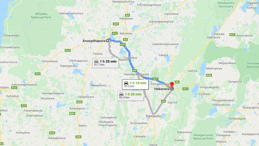 Privater Transfer von Anuradhapura City nach Habarana City