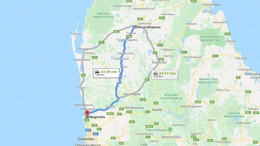Privater Transfer von Anuradhapura City nach Negombo City