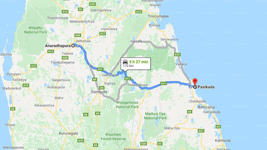 Privater Transfer von Anuradhapura City nach Pasikuda City