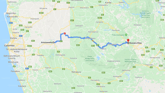 Privater Transfer von Avissawella City nach Nuwara Eliya City