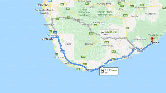 Privater Transfer von Bentota City nach Yala City