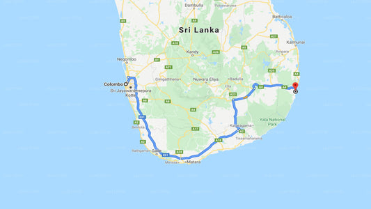 Privater Transfer von Colombo City nach Arugam Bay City