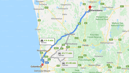 Privater Transfer von Colombo City nach Kandalama City