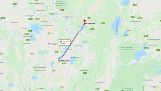 Privater Transfer von Dambulla City nach Habarana City