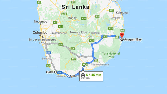 Privater Transfer von Galle City nach Arugam Bay City