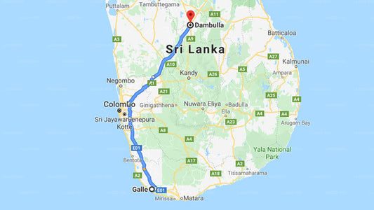 Privater Transfer von Galle City nach Dambulla City