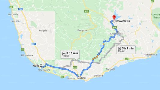 Privater Transfer von Galle City nach Udawalawe City