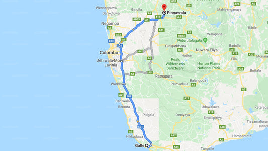 Privater Transfer von Galle City nach Pinnawala City