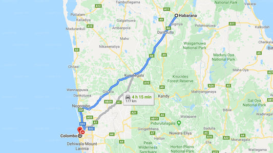 Privater Transfer von Habarana City nach Colombo City