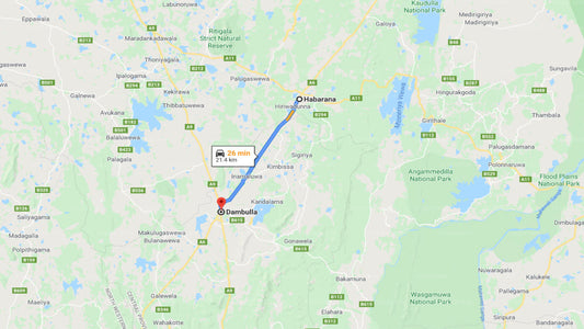 Privater Transfer von Habarana nach Dambulla