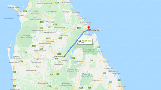 Privater Transfer von Habarana City nach Trincomalee City