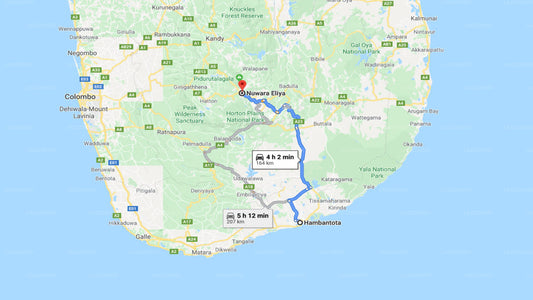 Privater Transfer von Hambantota City nach Nuwara Eliya City