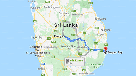 Privater Transfer von Kandy City nach Arugam Bay City