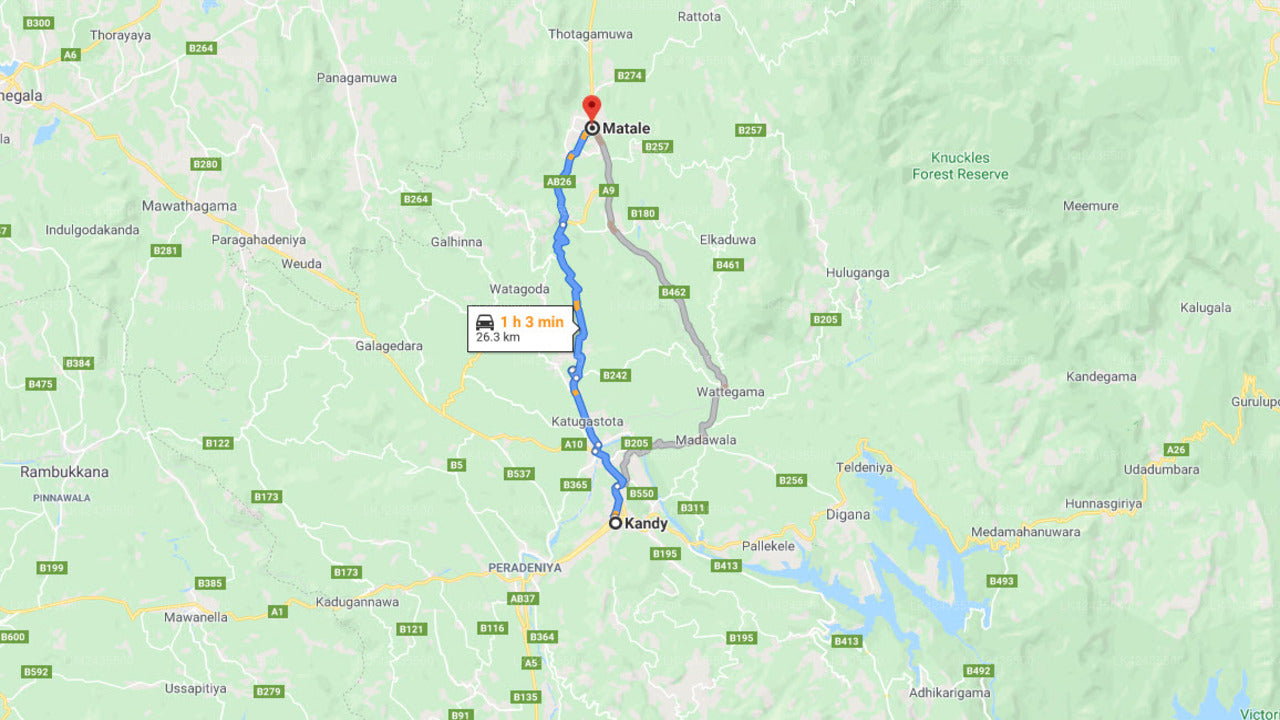 Privater Transfer von Kandy City nach Matale City