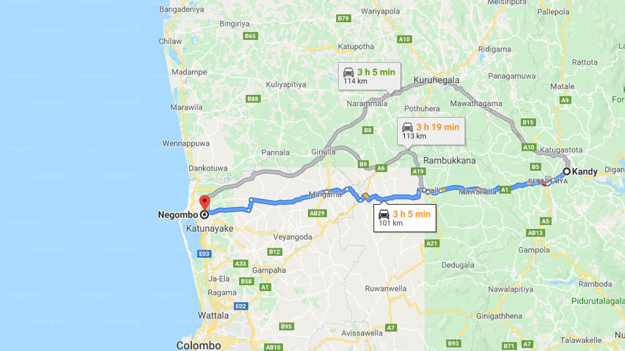 Privater Transfer von Kandy nach Negombo