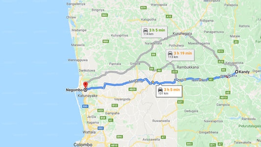 Privater Transfer von Kandy nach Negombo