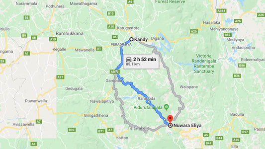 Privater Transfer von Kandy City nach Nuwara Eliya City