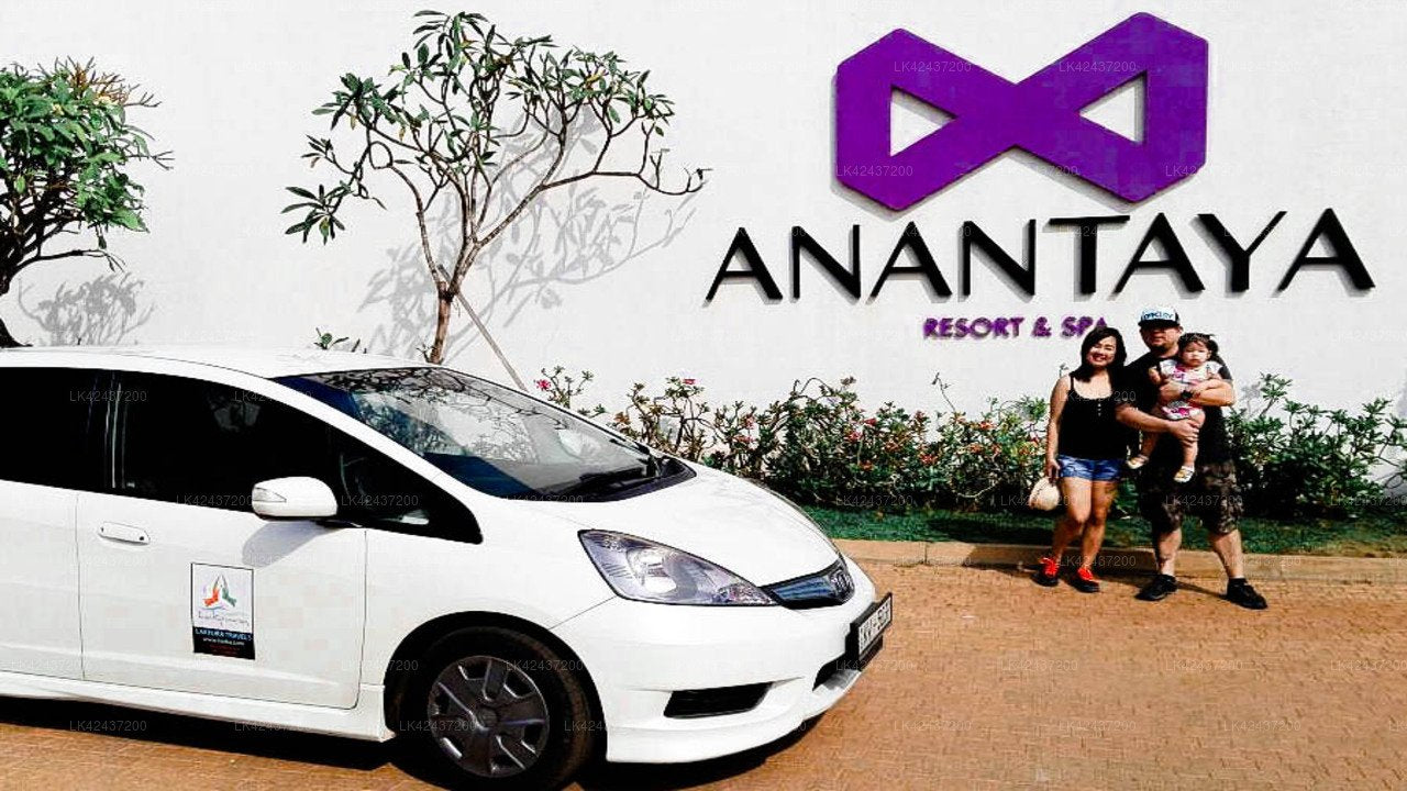 Privater Transfer von Sigiriya City nach Kandy City