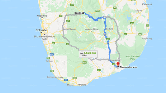 Privater Transfer von Kandy City nach Tissamaharama City
