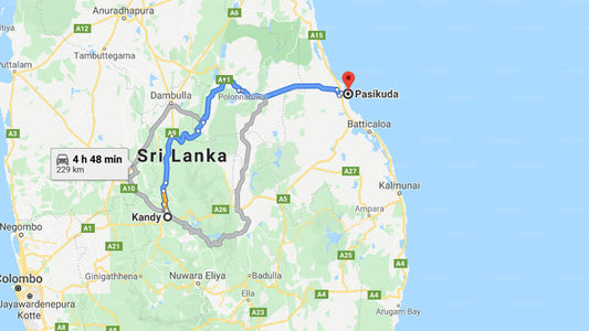 Privater Transfer von Kandy City nach Pasikuda City