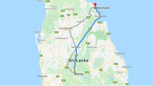 Privater Transfer von Kandy City nach Kuchchaveli City