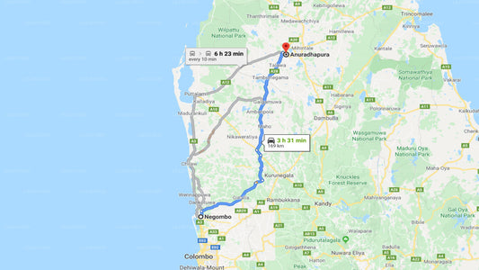 Privater Transfer von Negombo City nach Anuradhapura City