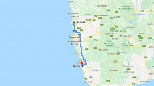 Privater Transfer von Negombo City nach Bentota City