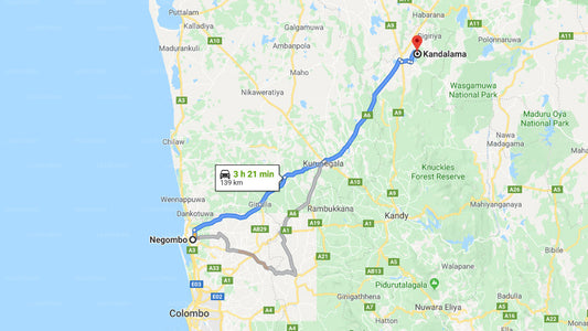Privater Transfer von Negombo City nach Kandalama City