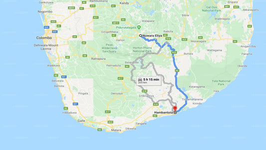 Privater Transfer von Nuwara Eliya City nach Hambantota City