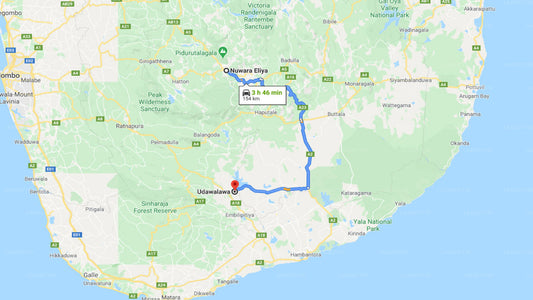 Privater Transfer von Nuwara Eliya City nach Ratnapura City