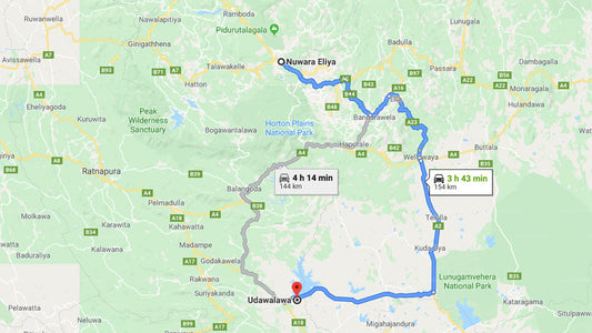 Privater Transfer von Nuwara Eliya City nach Udawalawe City