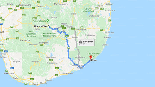 Privater Transfer von Nuwara Eliya City nach Yala City