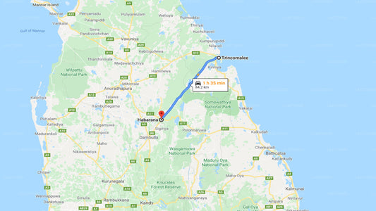 Privater Transfer von Trincomalee City nach Habarana City