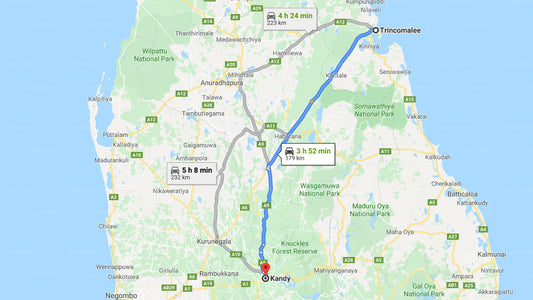 Privater Transfer von Trincomalee City nach Kandy City