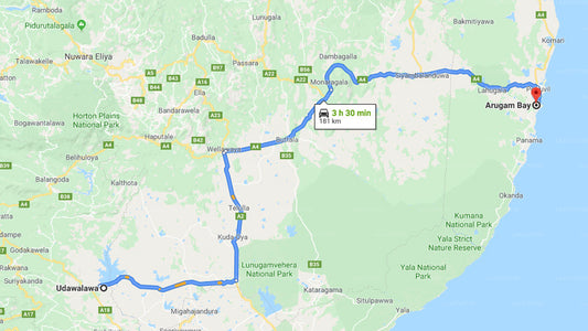 Privater Transfer von Udawalawe City nach Arugam Bay City