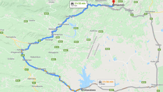 Privater Transfer von Udawalawe City nach Haputale City