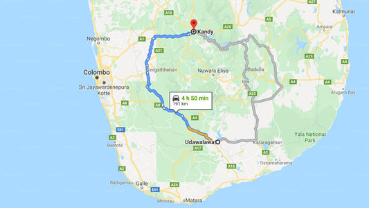 Privater Transfer von Udawalawe City nach Kandy City