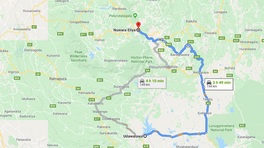 Privater Transfer von Udawalawe City nach Nuwara Eliya City