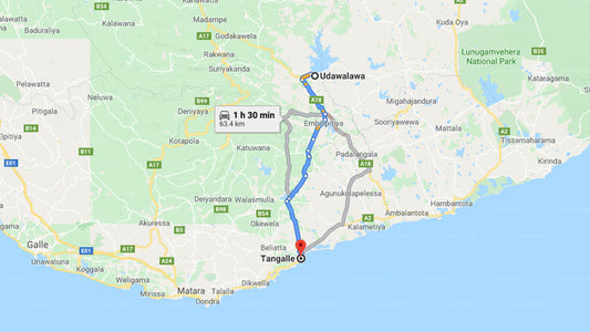 Privater Transfer von Udawalawe City nach Tangalle City