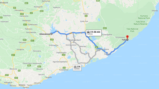 Privater Transfer von Udawalawe City nach Yala City