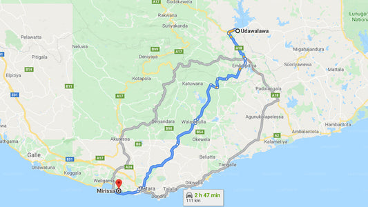 Privater Transfer von Udawalawe City nach Mirissa City