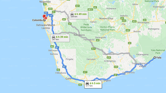 Privater Transfer von Yala City nach Colombo City