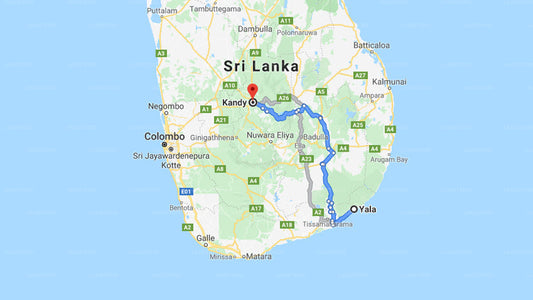 Privater Transfer von Yala City nach Kandy City